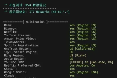 购买了 VPS 服务器，怎么进行 IP 质量检测？完整指南 + 实战经验分享