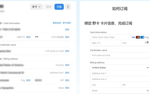 虚拟信用卡 WildCard (野卡) 保姆级开卡教程