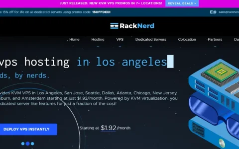 RackNerd VPS 深度评测：年付不到 20 刀的“灵车”，到底值不值得上？
